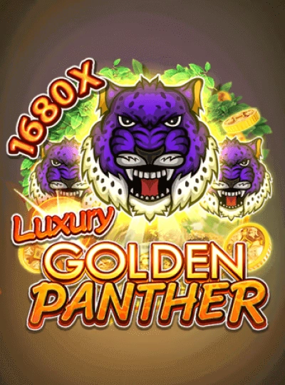 Live blackjack game cover with professional dealer